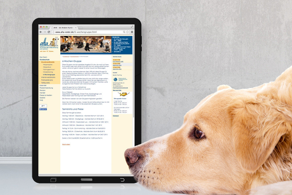 Internetseite AHA die andere Hundeausbildung und -Pension
